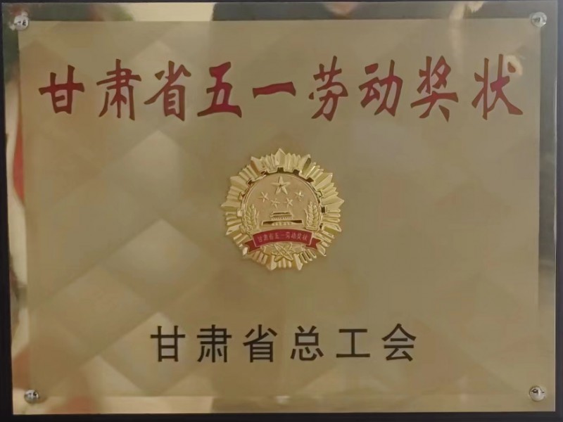 烏魯木齊機場改擴建工程飛行區場道工程 01 標段及圍界附屬工程標段順利通過行業驗收